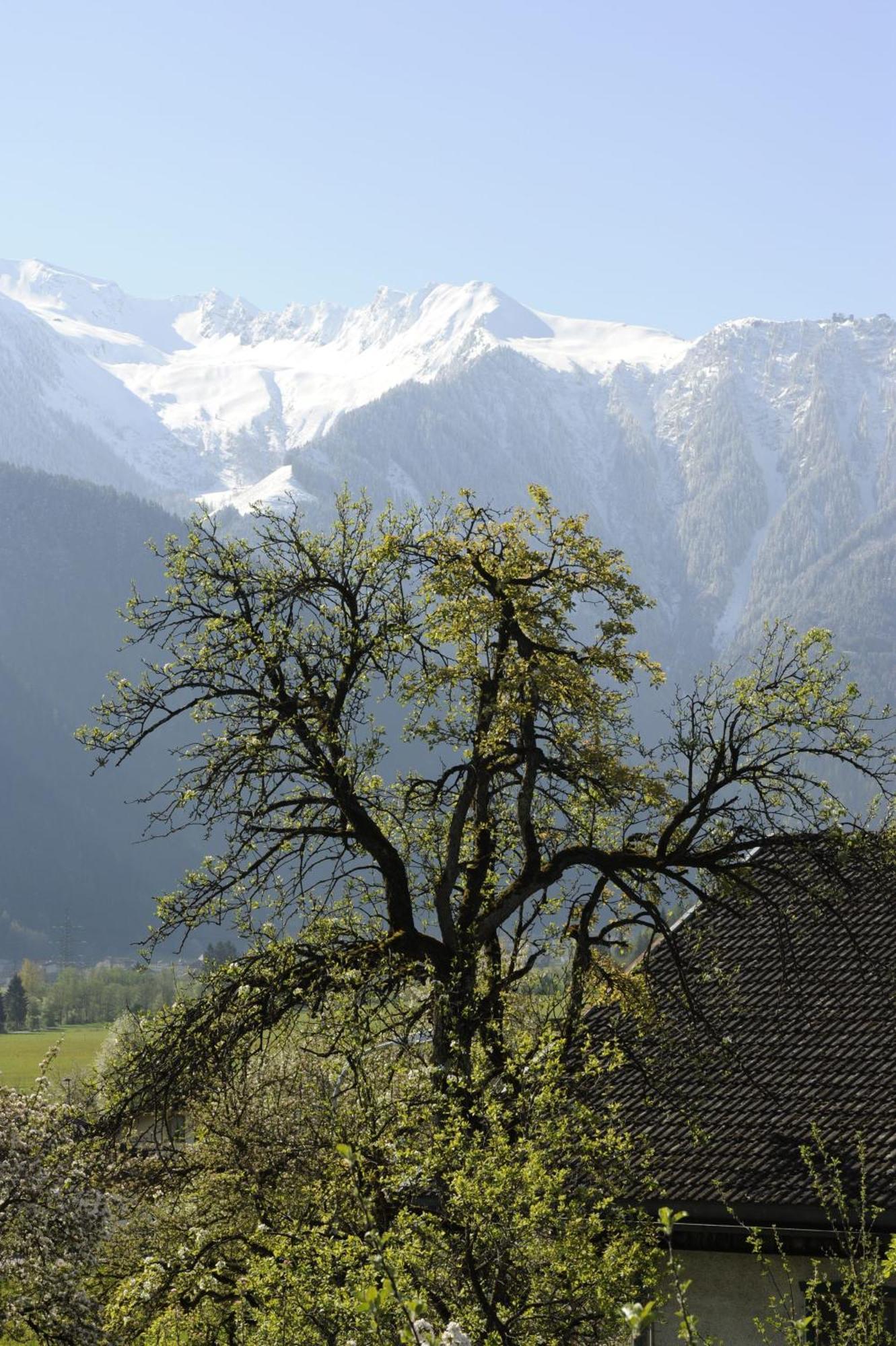Oberstockachhof Διαμέρισμα Schwendau Εξωτερικό φωτογραφία